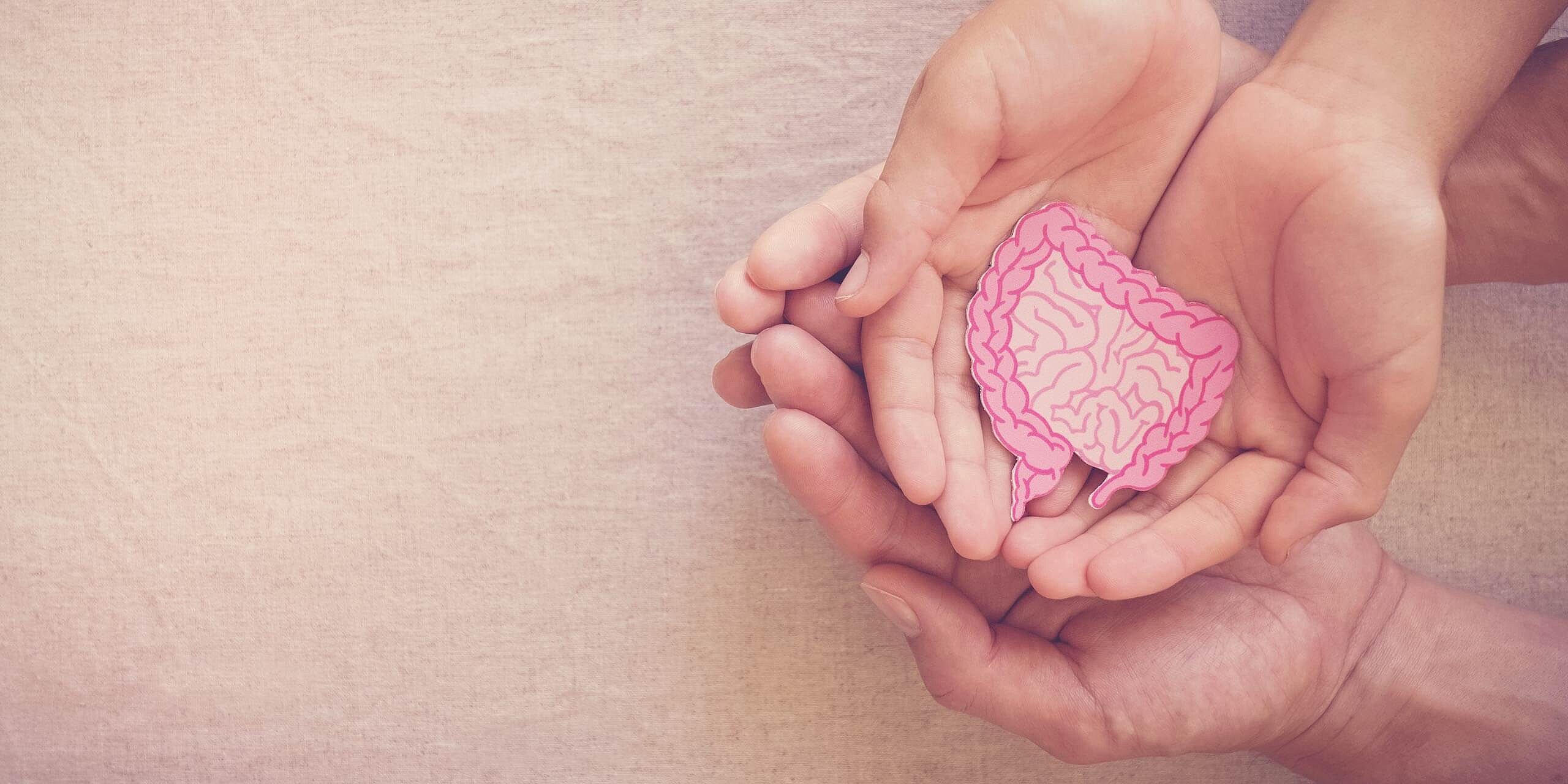 Ein Paar Erwachsener hält sanft ein Paar Kinderhände, die eine stilisierte rosa Abbildung menschlicher Eingeweide und Gehirne umfassen. Der Hintergrund ist eine neutrale, strukturierte Stoffoberfläche.
