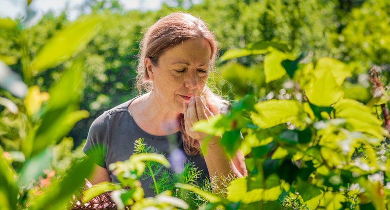 Frau auf dem Feld riecht an frischen Kräutern